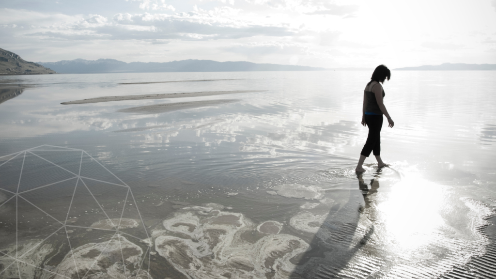 Visual framework showing psychological, environmental, schedule, and task design triggers for entrepreneurial flow states